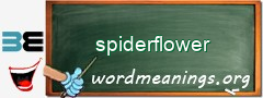 WordMeaning blackboard for spiderflower